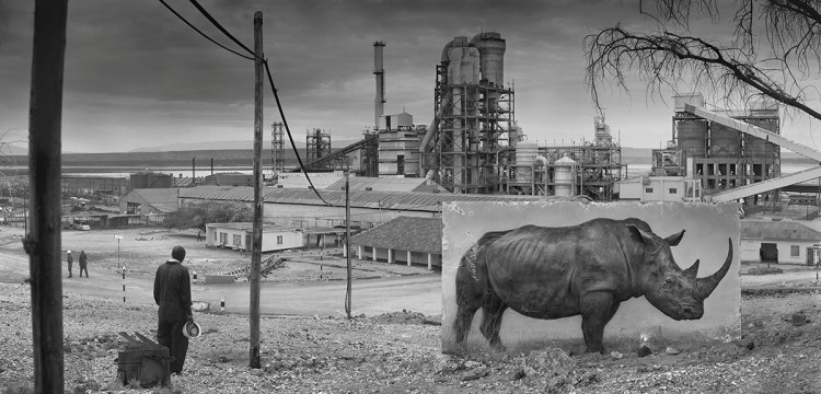 Fabryka z nosorożcem, 2014, fot. Nick Brandt