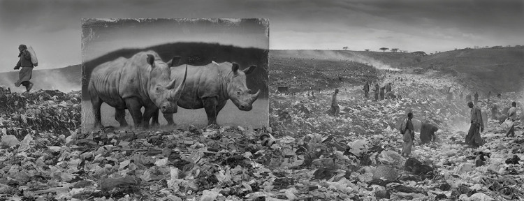 Wysypisko śmieci i nosorożce, 2015, fot. Nick Brandt